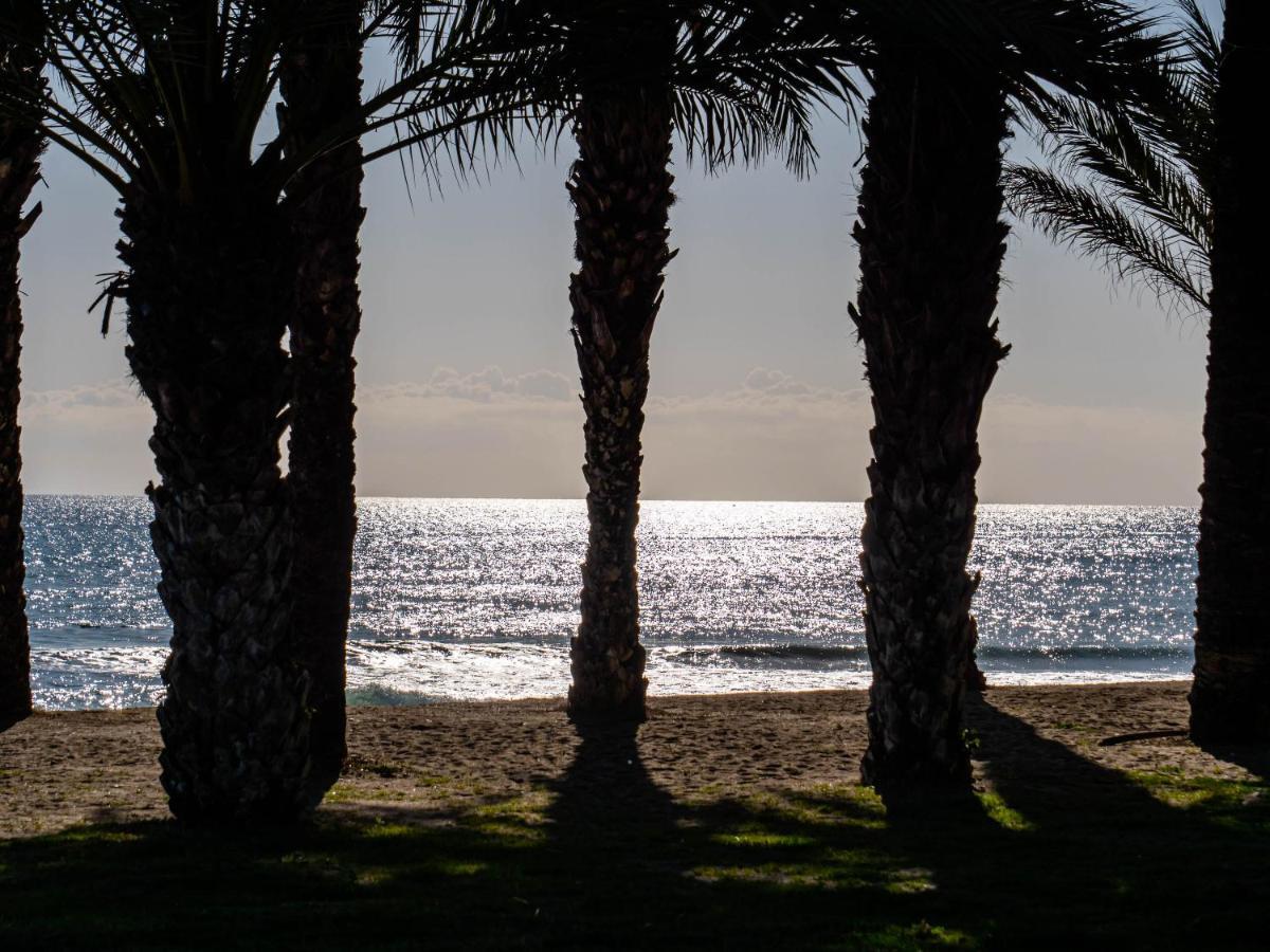 Lejlighed Palm - *