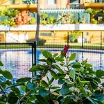 PALM BEACH APARTMENT - Torremolinos